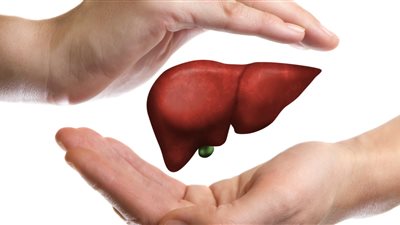 تجنب تناولها.. باحثون يوضحون الأطعمة الأكثر ضررًا للكبد