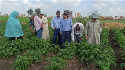 البحوث الزراعية يستعرض حصاد أنشطة مبادرة المراكز الإرشادية خلال نوفمبر 2024