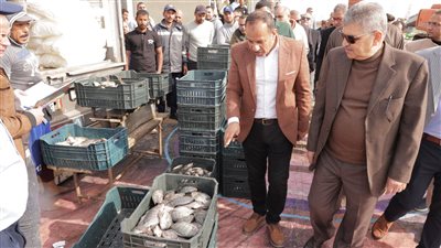 رئيس قناة السويس: نستهدف زيادة معدلات الإنتاج السمكي خلال العام المقبل إلى 1200 طن