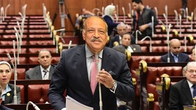 النائب هاني العسال: الدولة تملك فكر استباقي لمواجهة أسوأ السيناريوهات 