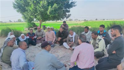 ندوات مكثفة بالبحيرة للتأكيد على استخدام المبيدات الآمنة لزراعة القمح