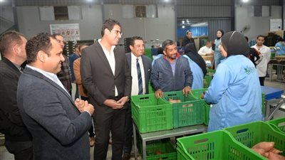 نائب محافظ الدقهلية يتابع أعمال رفع كفاءة المنطقة الصناعية بجمصة