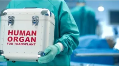  مرضى زراعة الأعضاء يرثون ذكريات وشخصيات المتبرعين.. دراسة تكشف التفاصيل