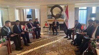 وزير الخارجية يلتقي رئيس شركة 