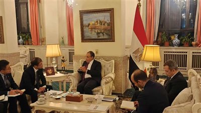 وزير الخارجية: مصر تسعي لإنتاج 10 ملايين طن من الأمونيا الخضراء