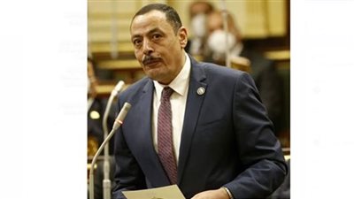 برلماني: العالم يثمن رؤية مصر في جولة الرئيس السيسى الأوروبية