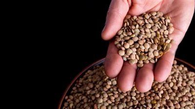 توصيات أمريكية بزيادة تناول الفاصوليا والعدس .. فما السبب؟ 