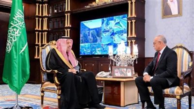 القنصل العام المصري في جدة يلتقي سمو أمير منطقة الباحة