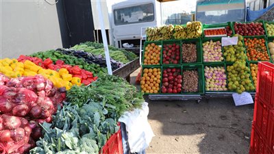 محافظ القاهرة: استمرار إقامة 
