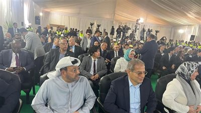 وزير الكهرباء يفتتح محطة أبيدوس 