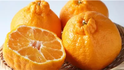 لماذا يجب عدم الإكثار من تناول أكثر من 3 حبات يوسفي في اليوم؟ طبيبة توضح