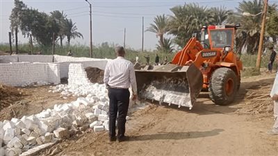 إزالة 55 حالة تعد على الأراضي الزراعية في بني سويف 