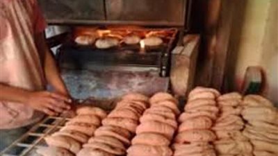 ضبط 12 طن فول صويا ودقيق فاخر مجهول المصدر في المنوفية 