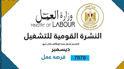 7878 فُرصة عمل جديدة في 101 شركة خاصة تنتظر شباب 12 مُحافظة