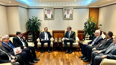 مباحثات مصرية جزائرية لزيادة التعاون والاستثمار في مجالات الطاقة