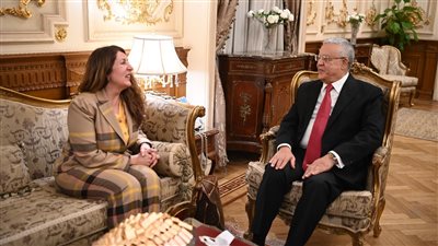 رئيس مجلس النواب يلتقي بالسفيرة الأمريكية في مصر