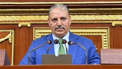  دفاع النواب: وحدة الشعب والجيش والشرطة صخرة ستتحطم عليها كل المؤامرات والمخططات