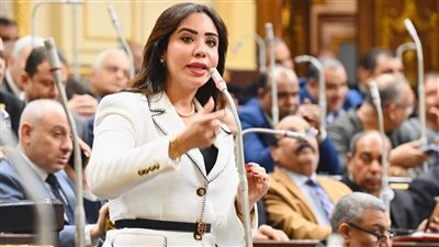 نائبة التنسيقية غادة علي تعلن الموافقة على اتفاقية تسهيلات تجارية بـ2 مليار دولار 