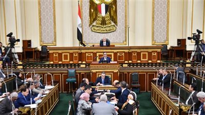 البرلمان يختتم مناقشات الإجراءات الجنائية من حيث المبدأ 