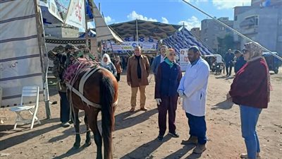 محافظ الدقهلية يتابع أعمال القافلة المتكاملة المجانية بقرية العصافرة 