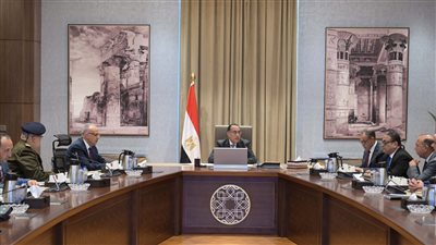 مدبولي: نحرص على دعم الجهود التنموية بدول حوض النيل في مختلف المجالات