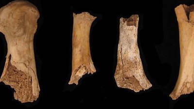 اكتشاف آثار أقدم مذبحة لآكلي لحوم البشر في بريطانيا 