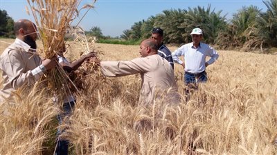 مؤتمر كلية زراعة جنوب الوادي يُوصي ببرامج تدريب للمزارعين