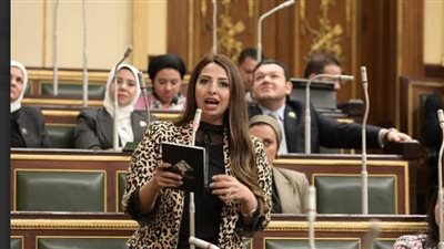 نائبة التنسيقية نشوى الشريف: تعديلات قانون تسجيل السفن التجارية تسهم في تعزيز النمو الاقتصادي