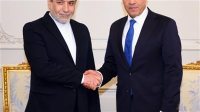 وزير الخارجية يعقد لقاءات ثنائية عليطى هامش فعاليات الدورة الـ٢١ لمجلس وزراء مجموعة الدول الثماني النامية 