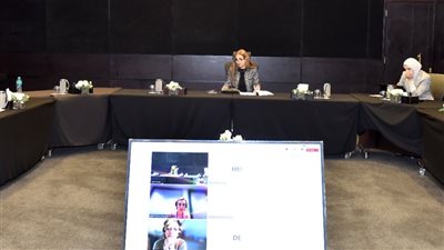 تعاون بين هيئة الاستثمار ومنظمة التعاون الاقتصادي والتنمية لتحسين إحصاءات الاستثمار الأجنبي المباشر