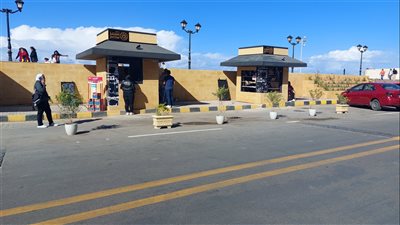 طقس بارد بالإسكندرية والعظمي تسجل 20 درجة