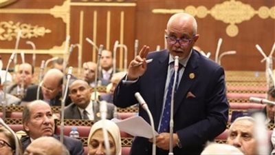 المهندس حازم الجندي: كلمة السيسي بقمة الدول الثماني النامية تعزز التزام مصر بدورها الإقليمي والدولي