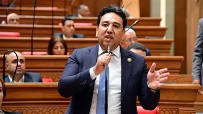 النائب أيمن محسب: كلمة السيسي بقمة الثماني تعكس ركائز الجمهورية الجديدة 