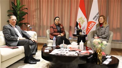 أمل عمار تترأس لجنة برنامج “المرأة تقود للمصريات بالخارج” 