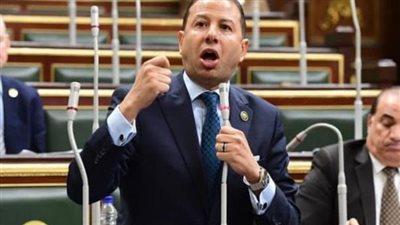 برلماني: حديث السيسي بقمة الدول النامية رصد كافة التحديات أمام الاقتصاديات الناشئة