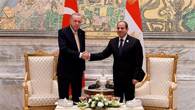 تفاصيل لقاء الرئيس السيسي بنظيره التركي على هامش قمة الدول الثماني النامية