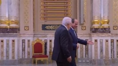 السيسي يلتقي نظيره الفلسطيني على مش قمة الدول الثماني النامية للتعاون الاقتصادي