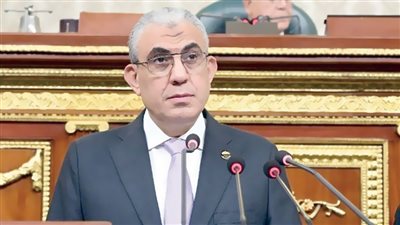 رئيس لجنة «القوى العاملة» بمجلس النواب:استضافة مصر «قمة البلدان النامية» تواجه التحديات االقتصادية