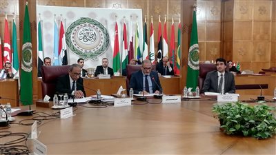 مجلس الوحدة الاقتصادية: مصر تقدم كل أشكال الدعم لمنظومة العمل العربي