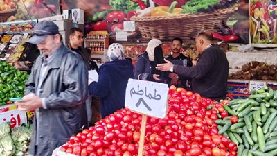 محافظ الدقهلية يكلف بالمرور على منافذ بيع الخضار والفاكهة 