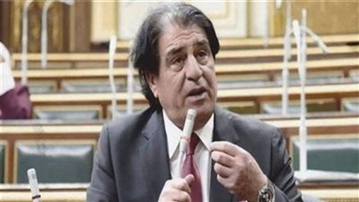 عربية النواب: قمة الثماني النامية فرصة تاريخيّة لإقامة تكتل سياسي واقتصادي كبيرين  