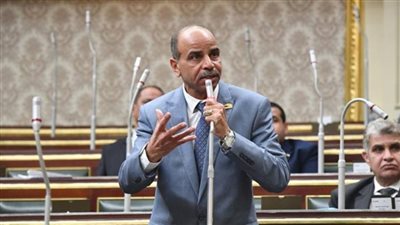 برلماني: قمة الدول الثماني النامية ضربة البداية لتعزيز التعاون الاقتصادي بين دول المنظمة