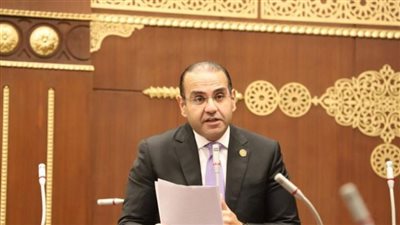 صناعة الشيوخ: قمة الثماني أكدت قدرة مصر على مواجهة التحديات الاقتصادية العالمية