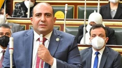 وكيل إفريقية النواب: قمة الدول الثماني كشفت دور مصر المحوري والتاريخي