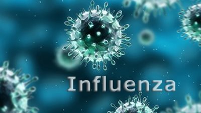 علماء ينجحون في فك الشيفرة الوراثية للإنفلونزا