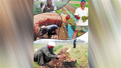 ﺧﻴﺮ اﻷرض راح ﻓين؟!