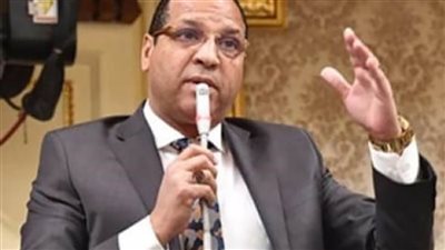 برلماني: قمة الدول الثماني للتعاون الاقتصادي منصة حيوية لتعزيز الأمن والسلام 