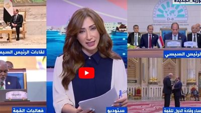إعلان القاهرة يؤكد قدرة مصر على صياغة خارطة طريق للتعاون بين الدول الثماني