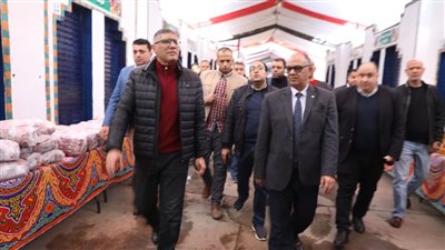 المحافظ يعاين أعمال رصف طريق اسكندرية الصحراوي بالمنطقة المقابلة للمتحف المصري الكبير 