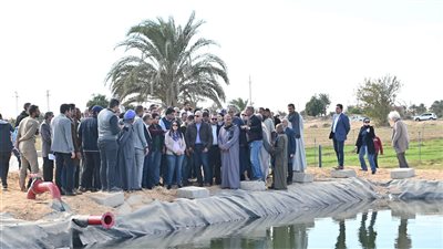 وزير الري يتفقد استصلاح الأراضي بالمنيا 